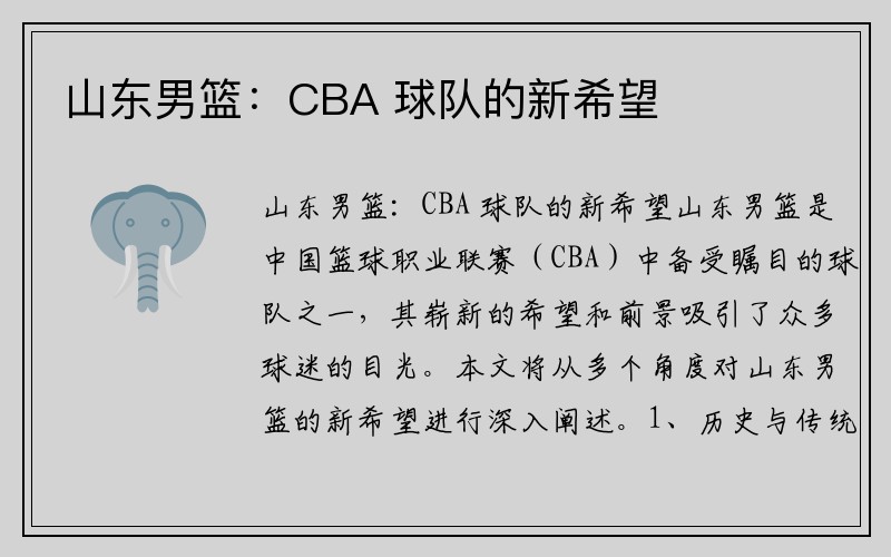 山东男篮：CBA 球队的新希望