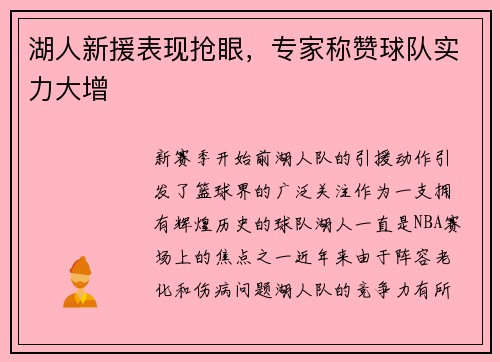 湖人新援表现抢眼，专家称赞球队实力大增